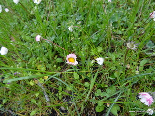 Rifugio Pietra Cannone